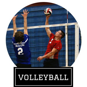 Click here to explore our volleyball equipment 
